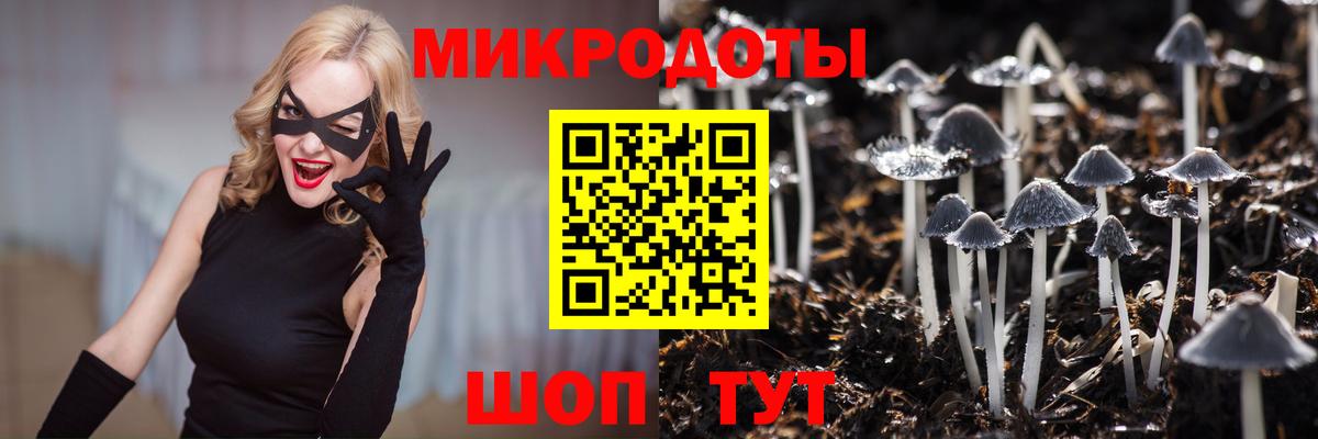 Псилоцибиновые грибы Cubensis  Вход с VPN  Якутск 